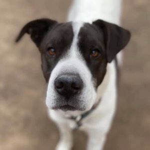 Meet your Posher, Kristina